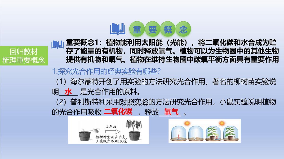 2025年初中生物会考一轮复习课件：第10讲绿色植物的光合作用第4页