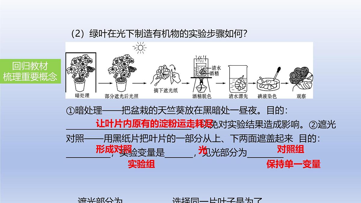 2025年初中生物会考一轮复习课件：第10讲绿色植物的光合作用第6页