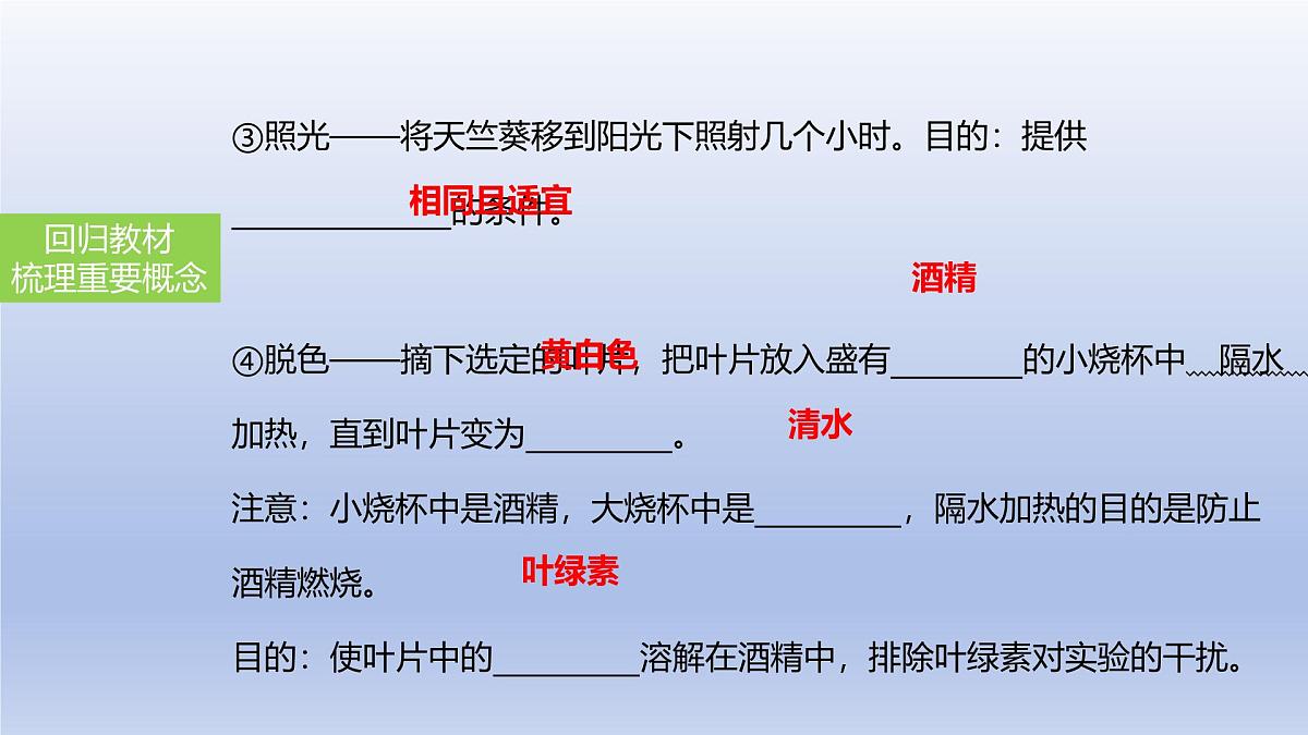 2025年初中生物会考一轮复习课件：第10讲绿色植物的光合作用第7页
