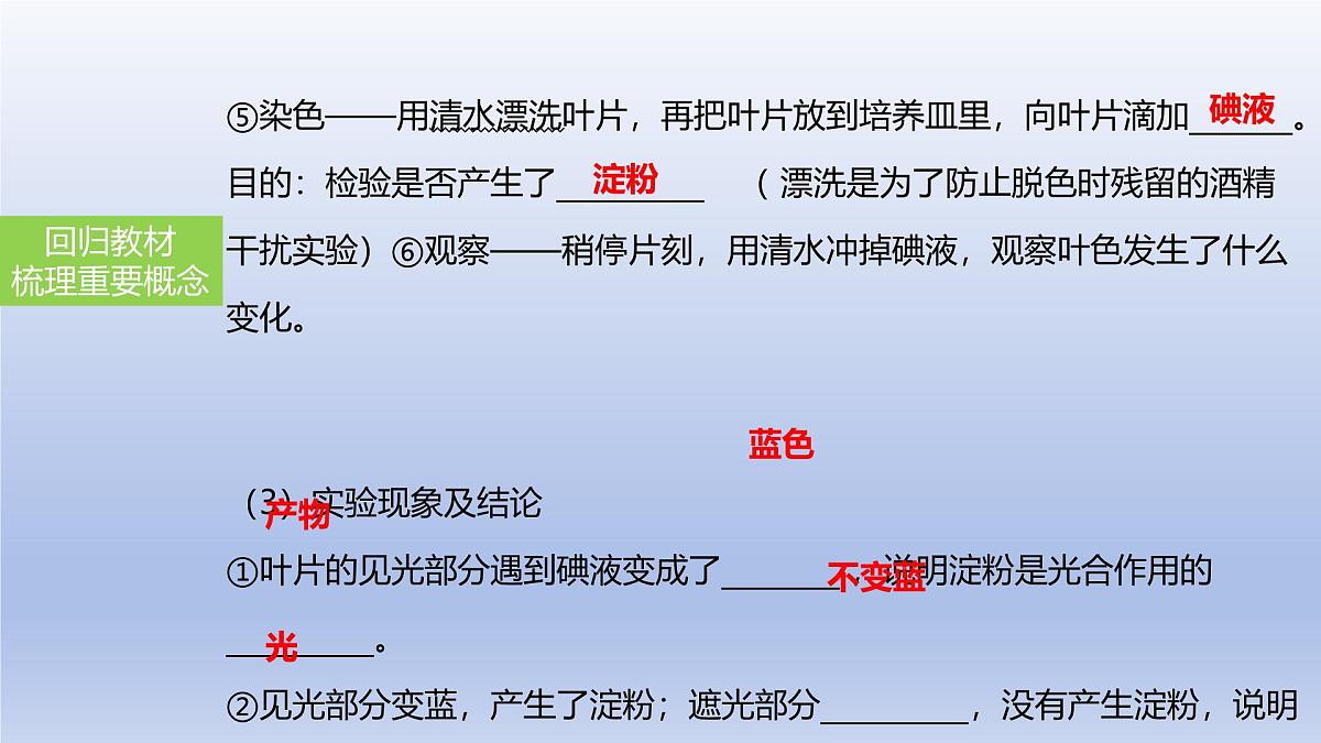 2025年初中生物会考一轮复习课件：第10讲绿色植物的光合作用第8页