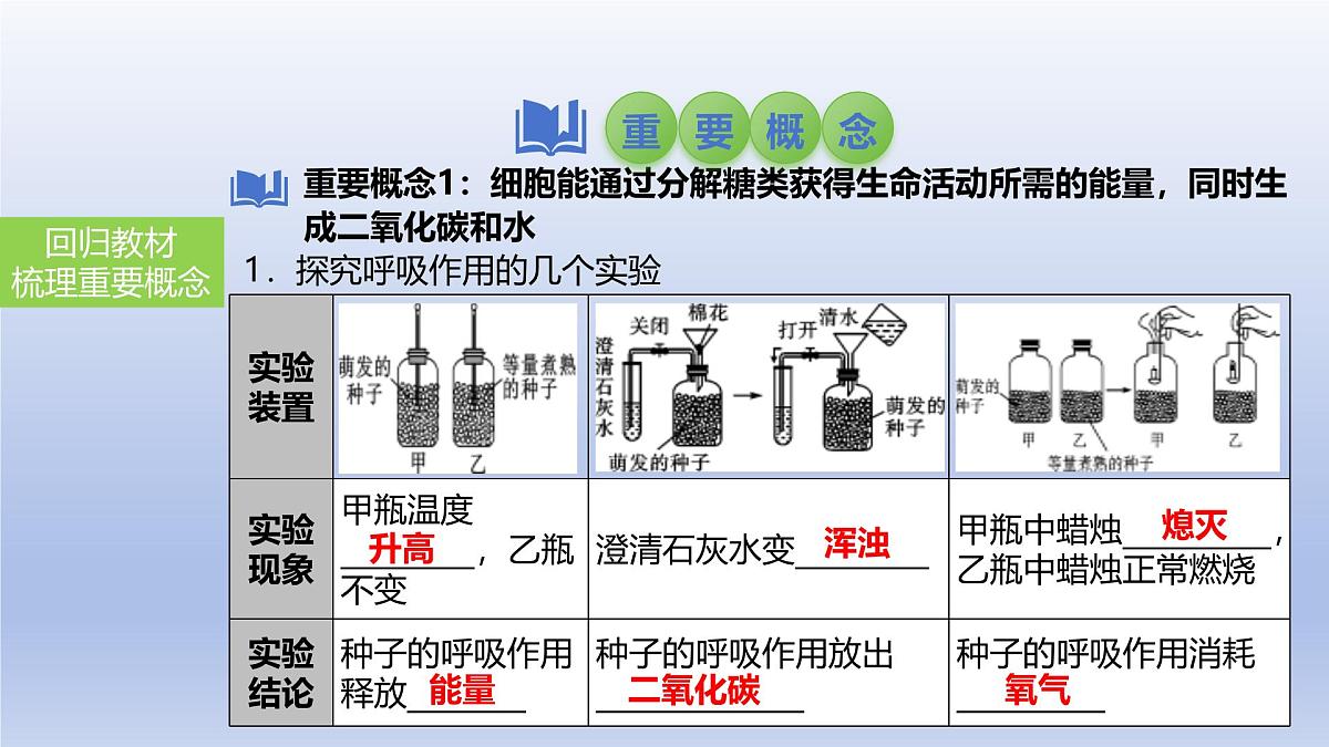 2025年初中生物会考一轮复习课件：第11讲 绿色植物的呼吸作用第3页