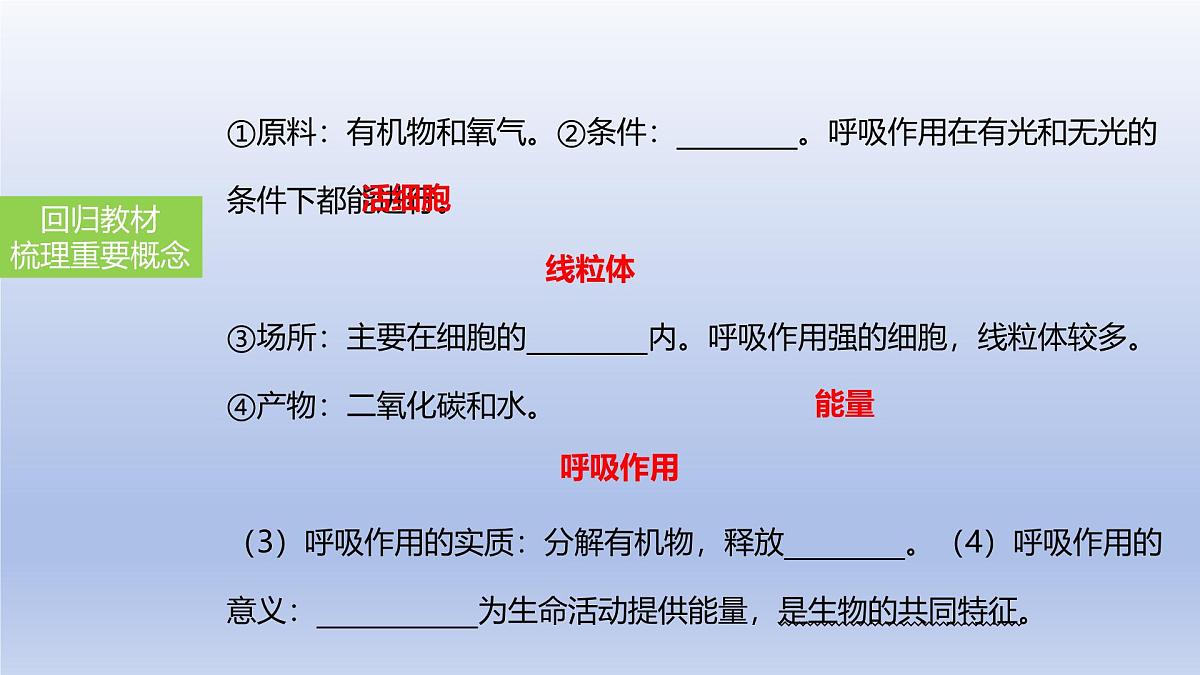 2025年初中生物会考一轮复习课件：第11讲 绿色植物的呼吸作用第5页