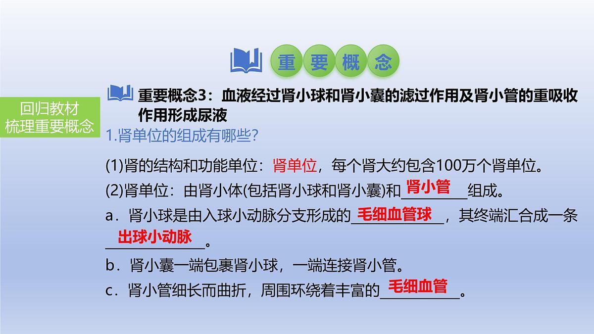 2025年初中生物会考一轮复习课件：第18讲 人体内废物的排出第6页