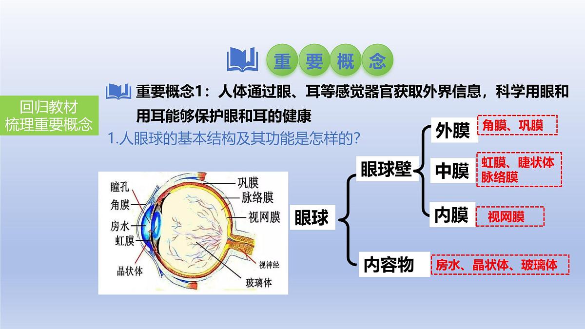 2025年初中生物会考一轮复习课件：第19讲 人体对外界环境的感知、神经系统的组成第3页