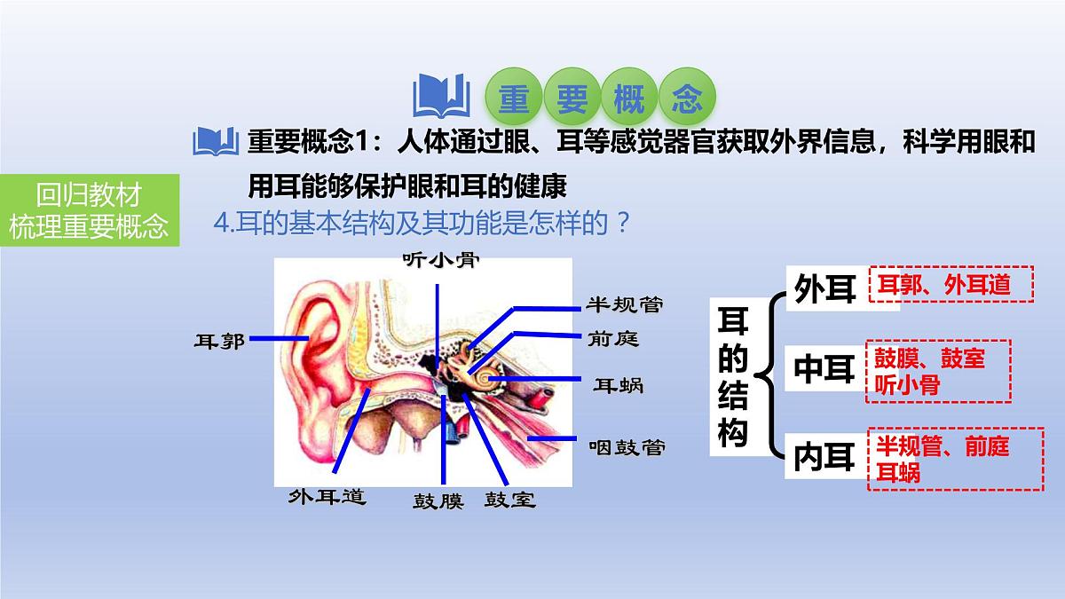 2025年初中生物会考一轮复习课件：第19讲 人体对外界环境的感知、神经系统的组成第6页
