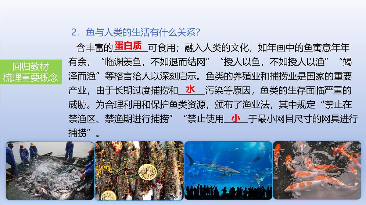 2025年初中生物会考一轮复习课件：第22讲动物的类群——脊椎动物第4页