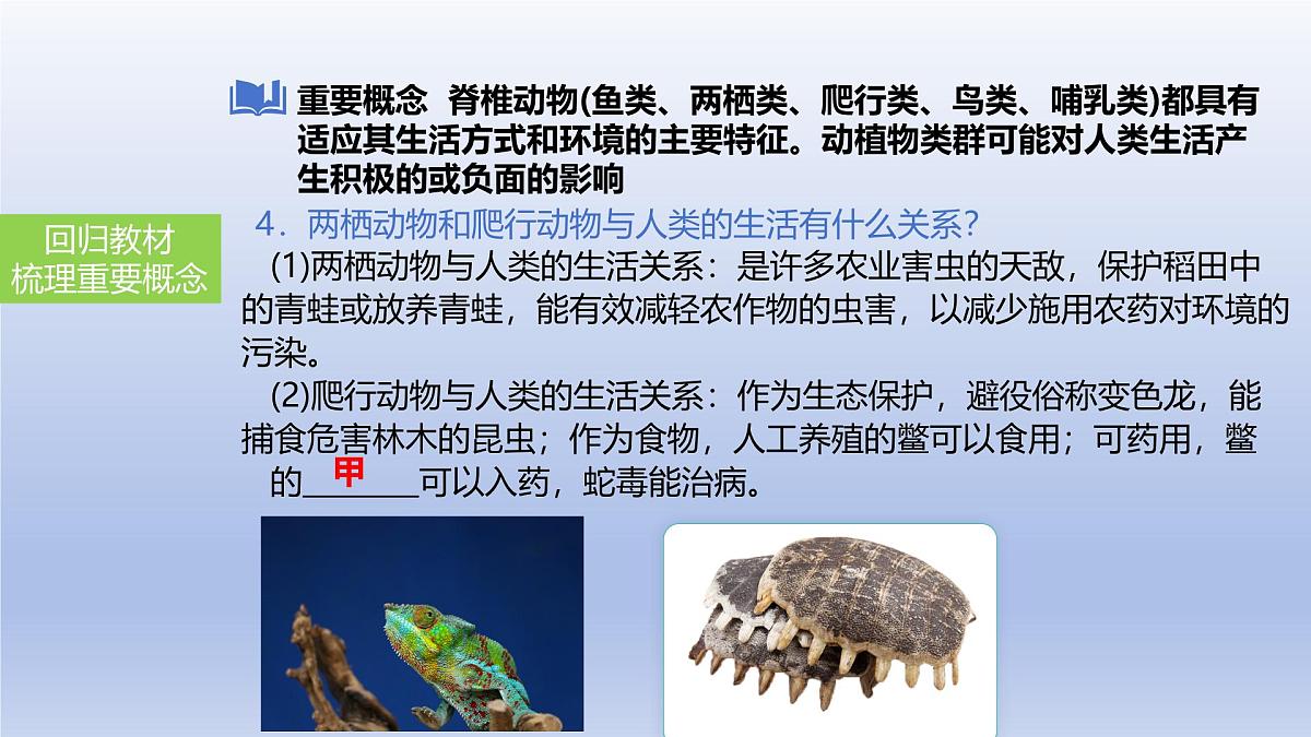 2025年初中生物会考一轮复习课件：第22讲动物的类群——脊椎动物第6页