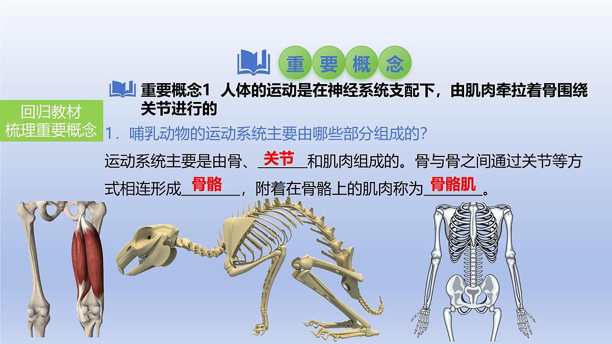 2025年初中生物会考一轮复习课件：第23讲动物的运动、行为及再生物圈中的作用第3页