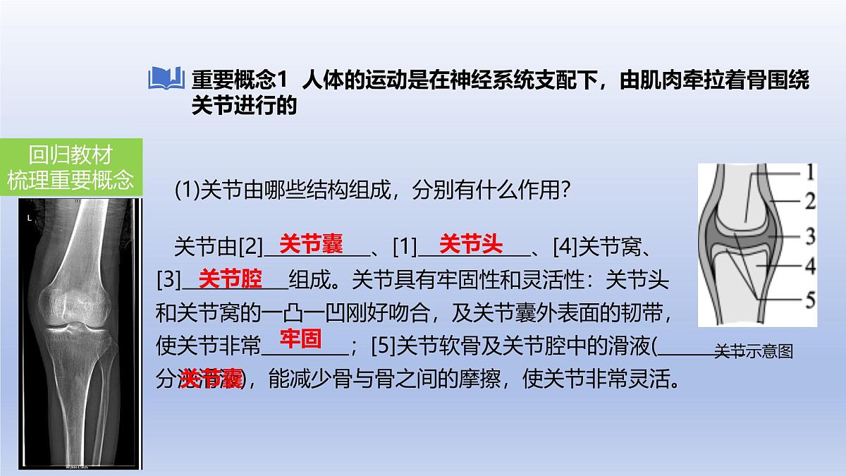 2025年初中生物会考一轮复习课件：第23讲动物的运动、行为及再生物圈中的作用第4页