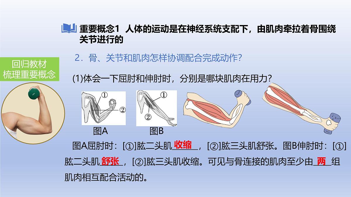 2025年初中生物会考一轮复习课件：第23讲动物的运动、行为及再生物圈中的作用第7页
