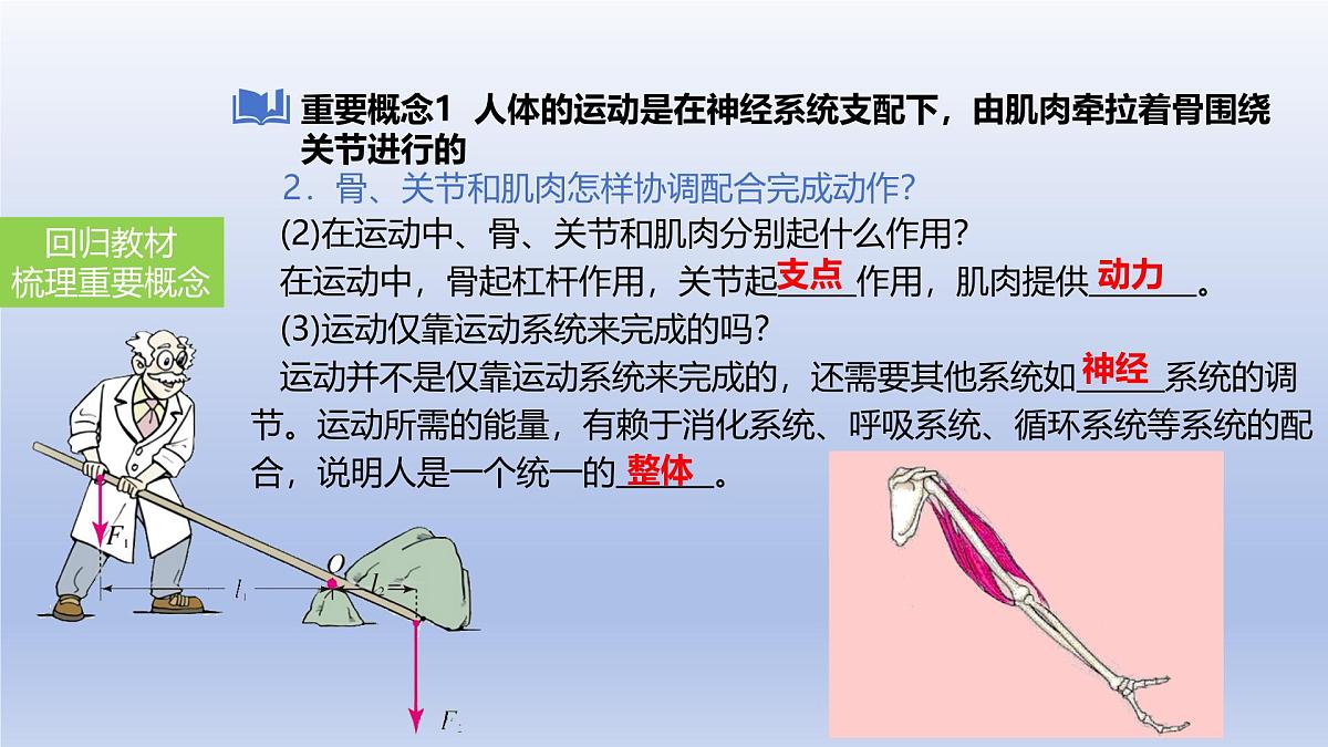 2025年初中生物会考一轮复习课件：第23讲动物的运动、行为及再生物圈中的作用第8页