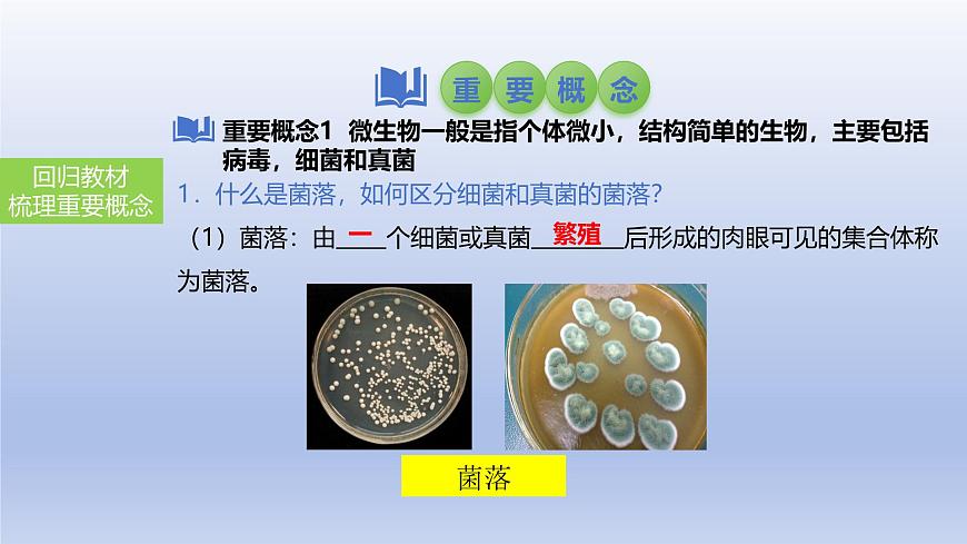 2025年初中生物会考一轮复习课件：第24讲 细菌、真菌和病毒的特征第3页