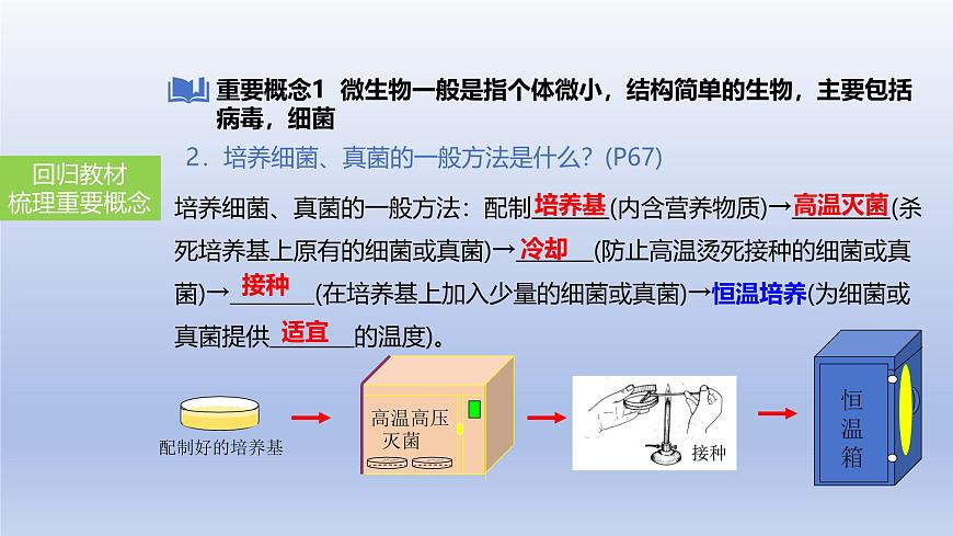 2025年初中生物会考一轮复习课件：第24讲 细菌、真菌和病毒的特征第5页