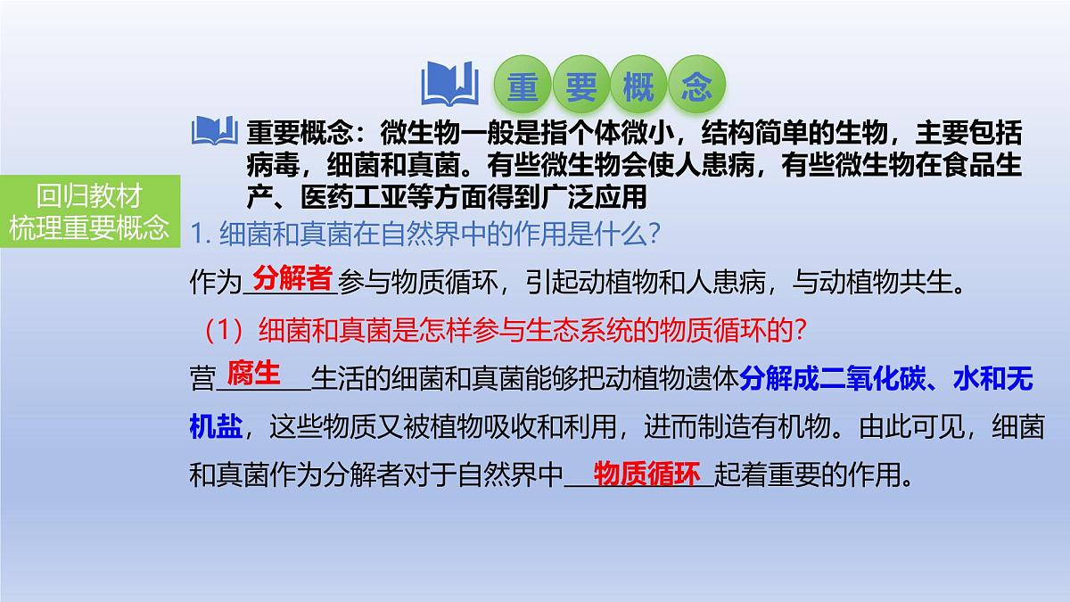 2025年初中生物会考一轮复习课件：第25讲 细菌和真菌在自然界中的作用以及人类对细菌和真菌的利用第3页