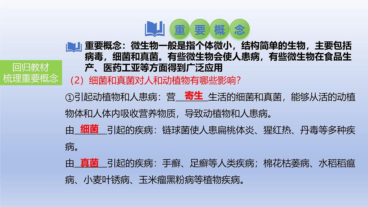 2025年初中生物会考一轮复习课件：第25讲 细菌和真菌在自然界中的作用以及人类对细菌和真菌的利用第6页