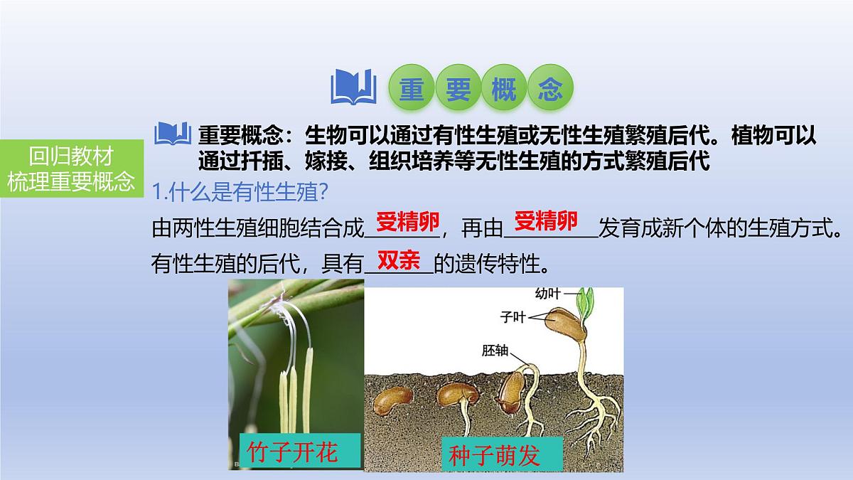 2025年初中生物会考一轮复习课件：第27讲 植物的生殖和发育第4页