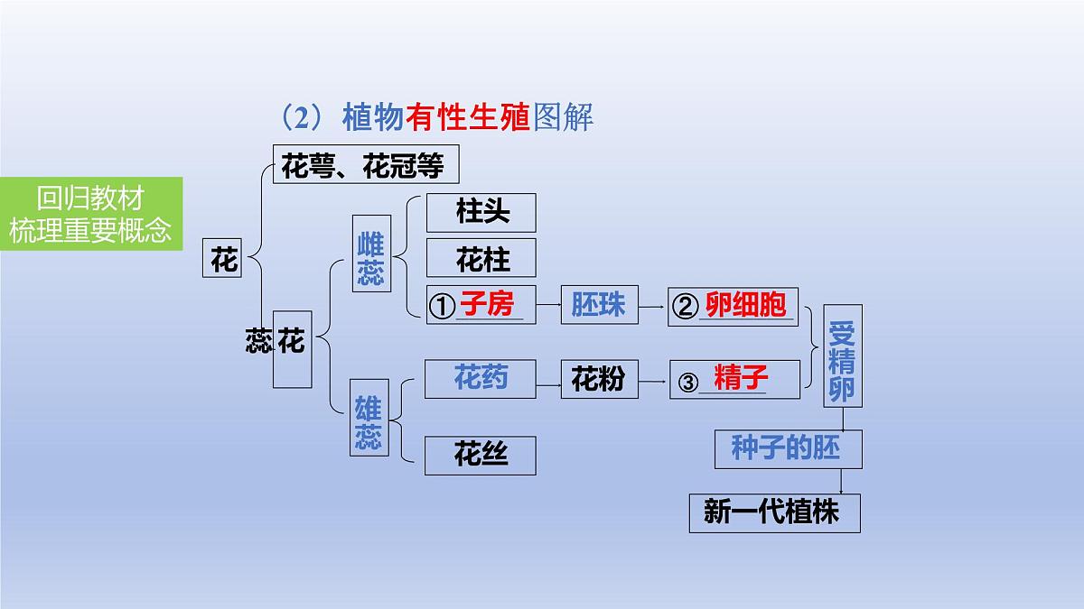 2025年初中生物会考一轮复习课件：第27讲 植物的生殖和发育第5页