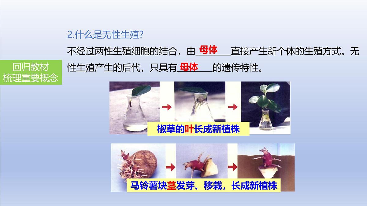 2025年初中生物会考一轮复习课件：第27讲 植物的生殖和发育第6页