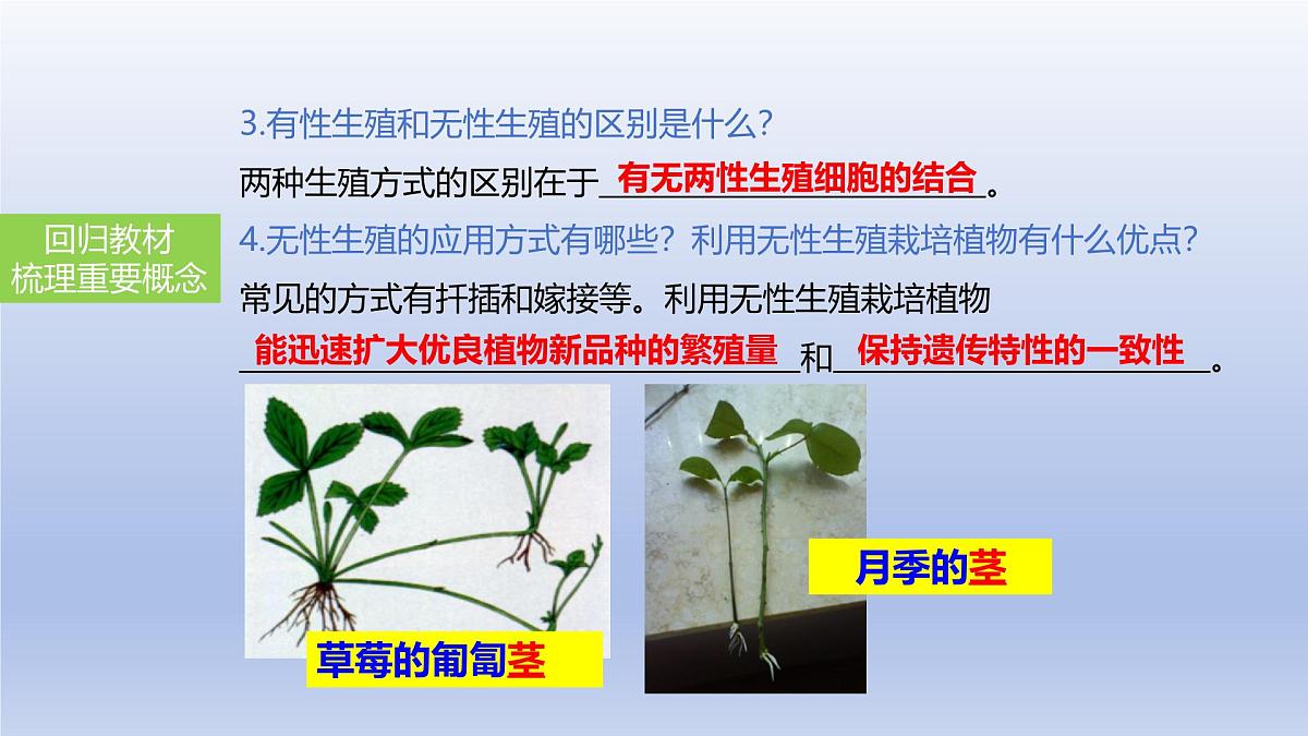 2025年初中生物会考一轮复习课件：第27讲 植物的生殖和发育第7页