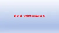 2025年初中生物会考一轮复习课件：第28讲 动物的生殖和发育