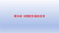 2025年初中生物会考一轮复习课件:第28讲 动物的生殖和发育