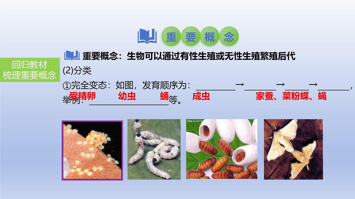 2025年初中生物会考一轮复习课件：第28讲 动物的生殖和发育第5页