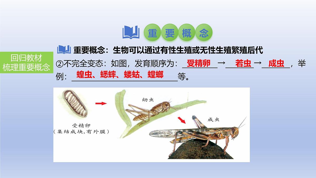 2025年初中生物会考一轮复习课件：第28讲 动物的生殖和发育第6页