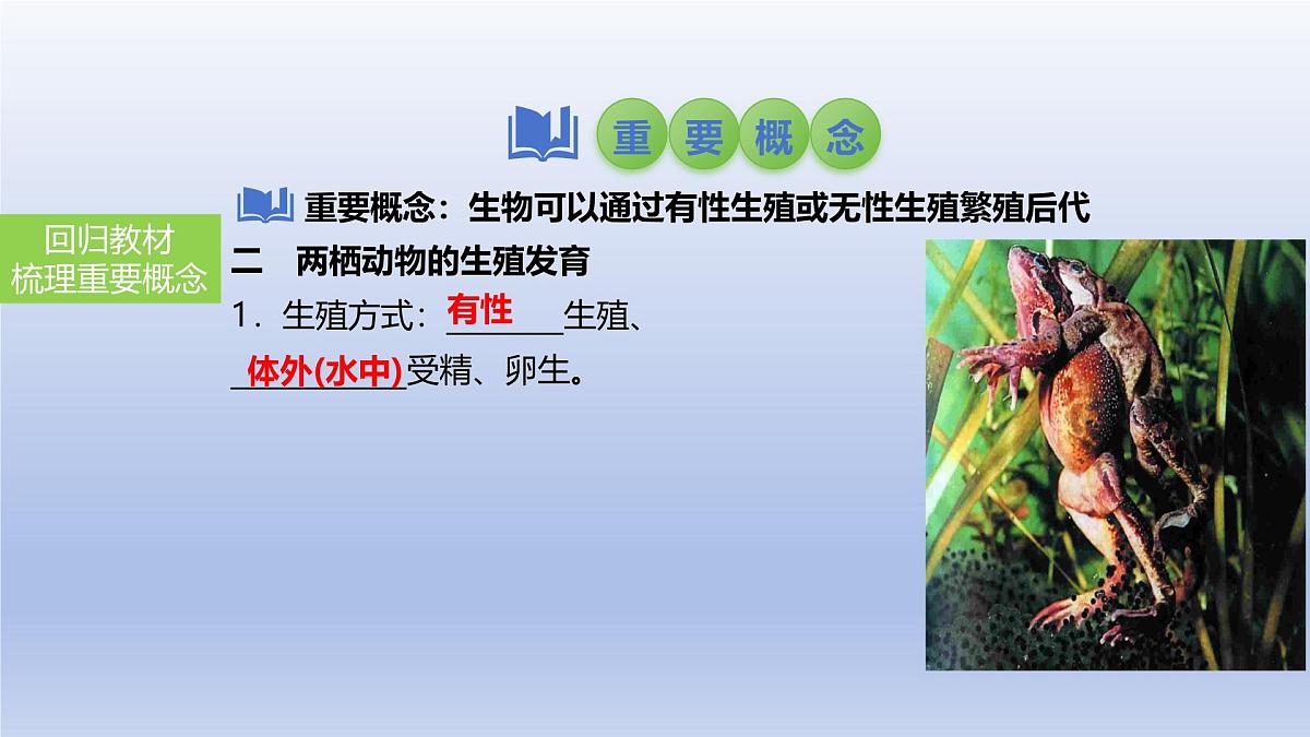 2025年初中生物会考一轮复习课件：第28讲 动物的生殖和发育第7页