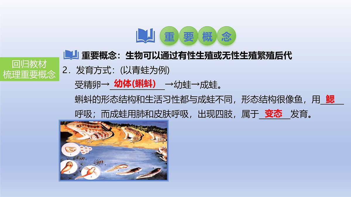 2025年初中生物会考一轮复习课件：第28讲 动物的生殖和发育第8页