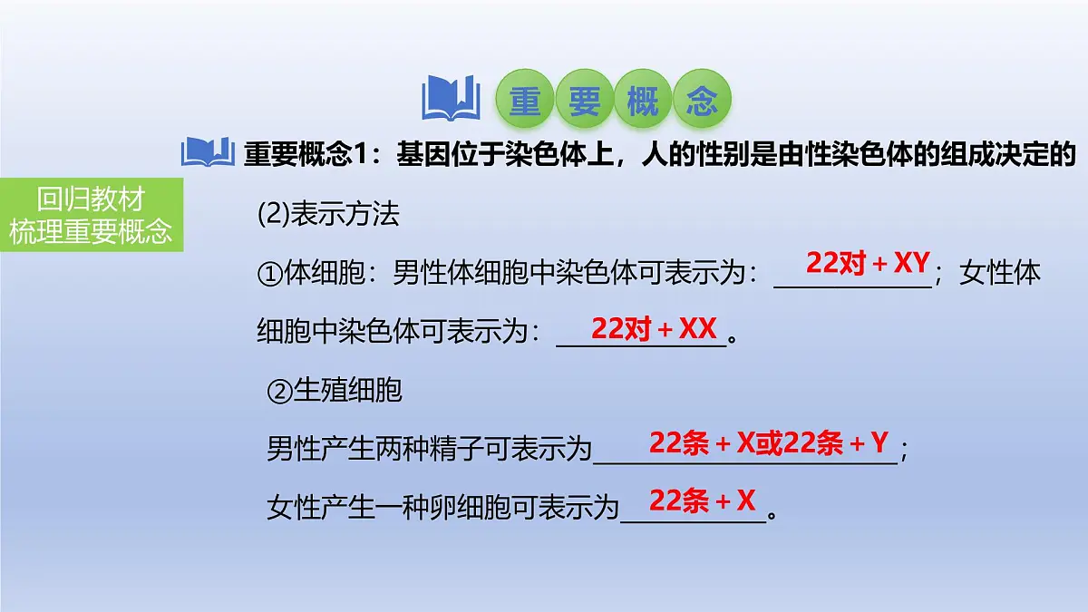 2025年初中生物会考一轮复习课件：第31讲 人的性别遗传与生物的变异第4页