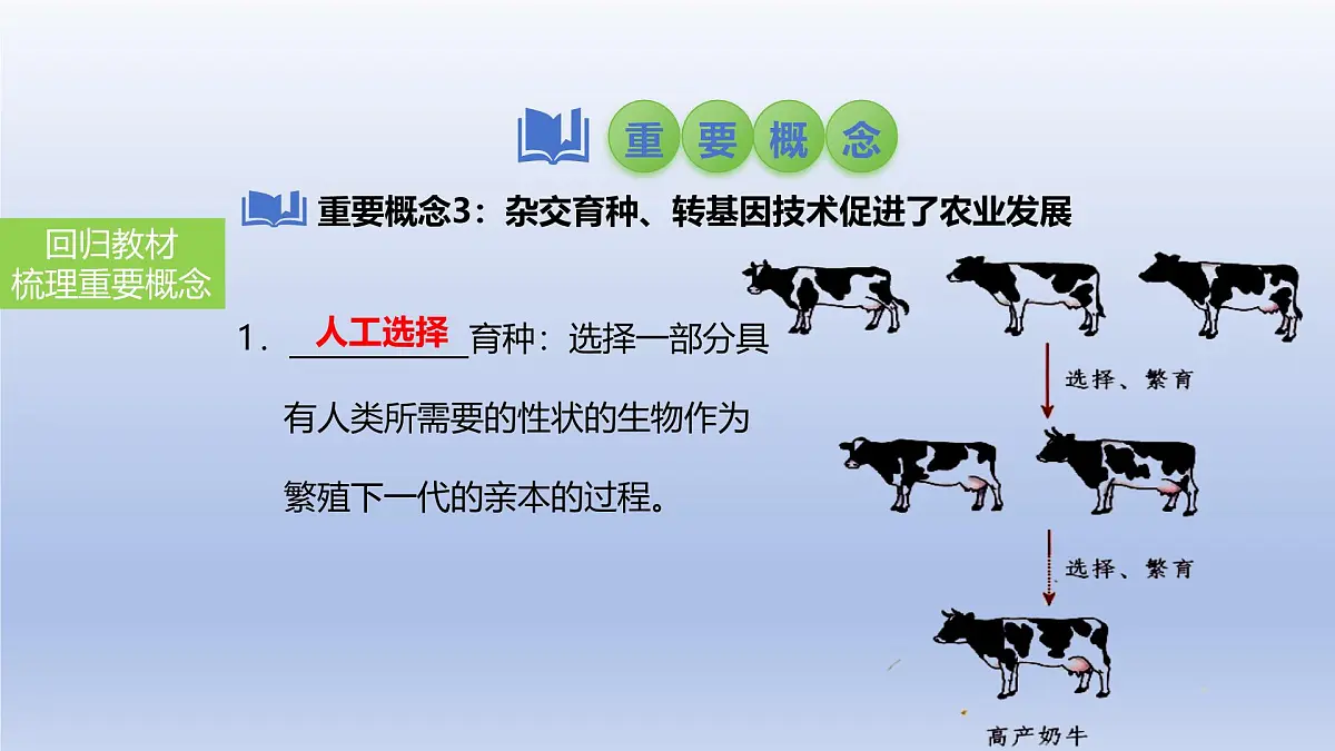 2025年初中生物会考一轮复习课件：第31讲 人的性别遗传与生物的变异第8页