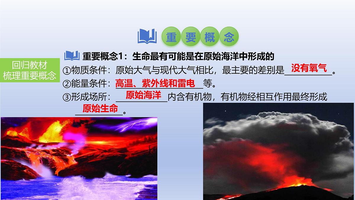2025年初中生物会考一轮复习课件：第32讲 生命起源和生物进化第4页