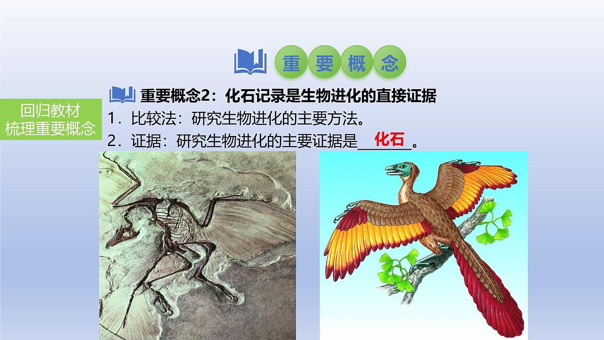2025年初中生物会考一轮复习课件：第32讲 生命起源和生物进化第5页
