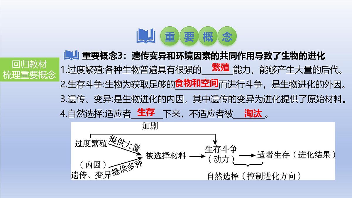 2025年初中生物会考一轮复习课件：第32讲 生命起源和生物进化第6页