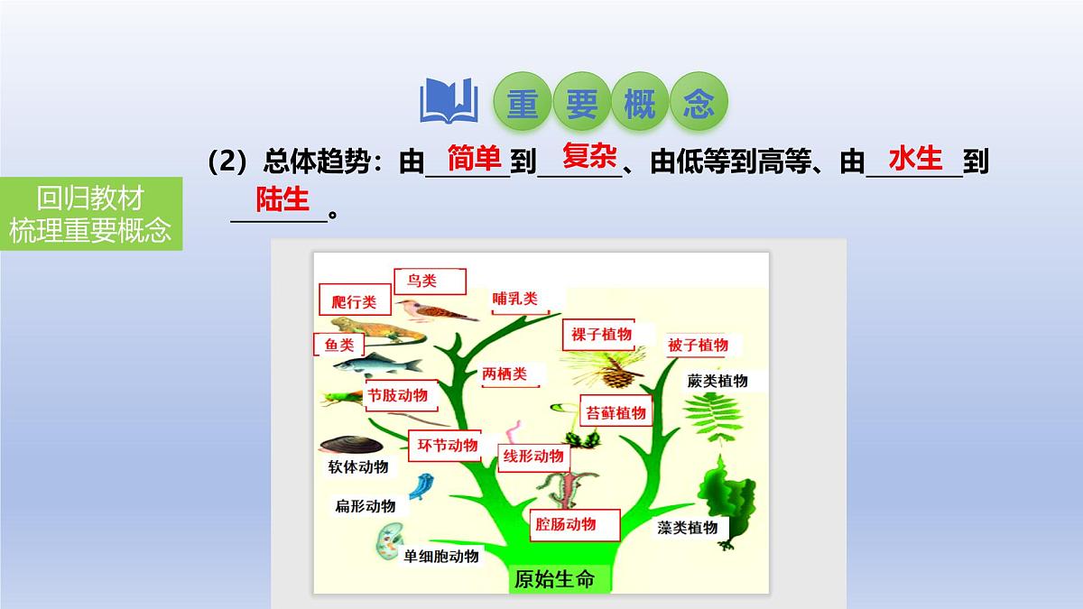 2025年初中生物会考一轮复习课件：第32讲 生命起源和生物进化第8页