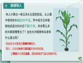 初中生物人教版（2024）七年級(jí)下冊(cè)3.2.1 水的利用與散失 課件