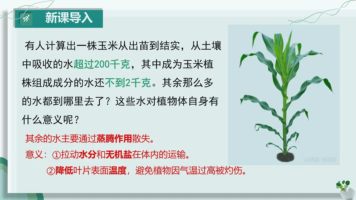 初中生物人教版（2024）七年级下册3.2.1 水的利用与散失 课件第2页