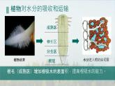 初中生物人教版（2024）七年級(jí)下冊(cè)3.2.1 水的利用與散失 課件