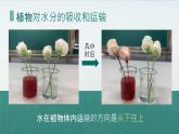 初中生物人教版（2024）七年級(jí)下冊(cè)3.2.1 水的利用與散失 課件