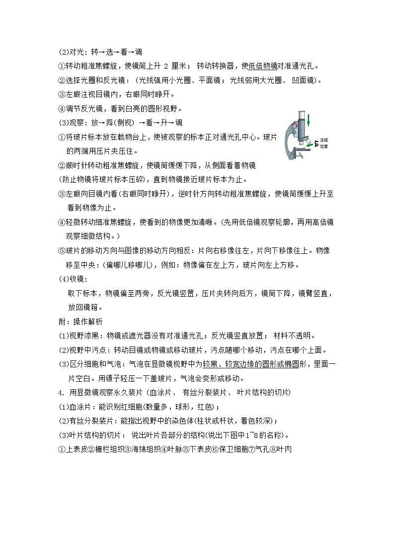 2025年苏科版生物中考一轮复习知识点考点提纲详细版第2页