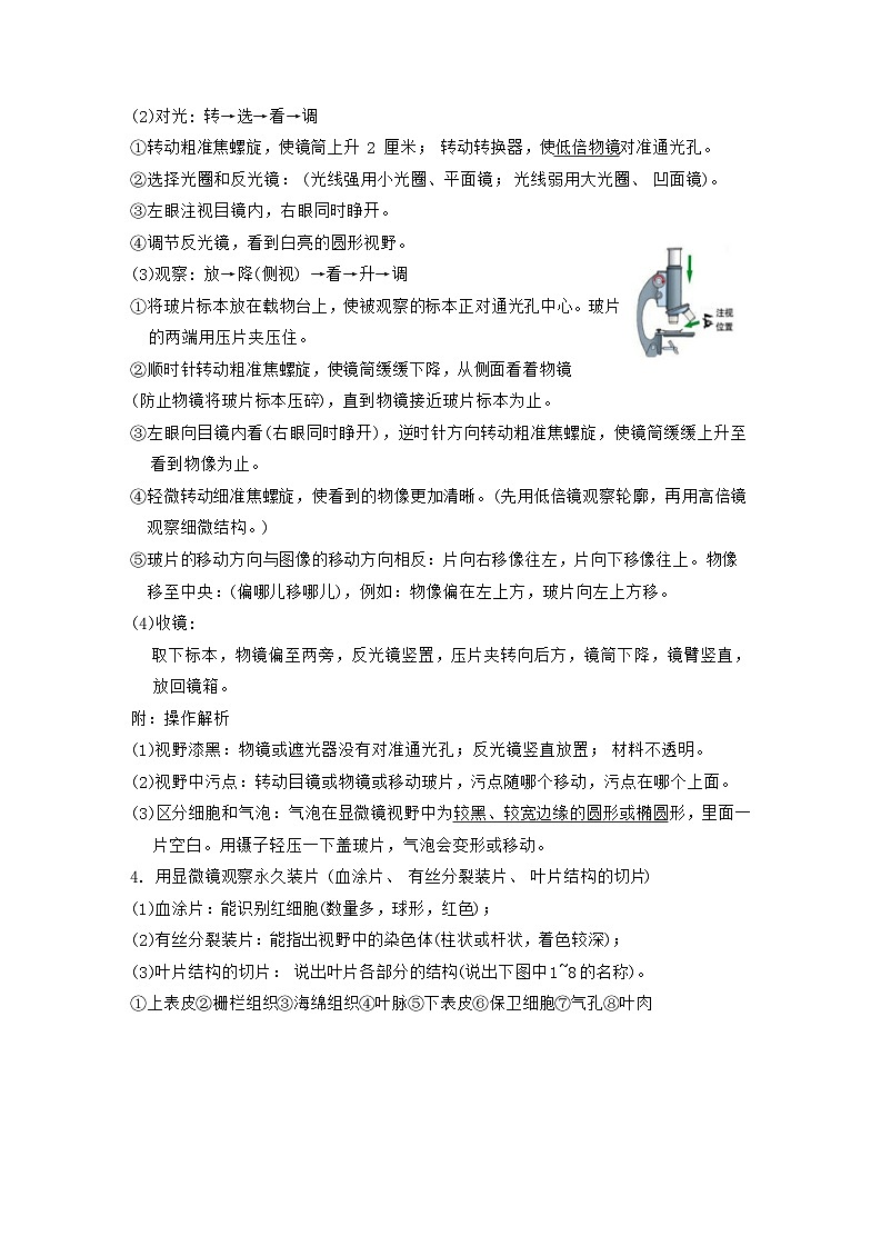 2025年苏科版生物中考一轮复习知识点考点提纲详细版第2页