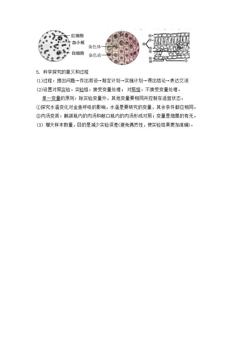 2025年苏科版生物中考一轮复习知识点考点提纲详细版第3页
