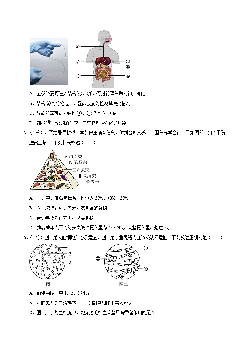 北京市第四中学2023-2024学年七年级下学期期末考试生物试卷第2页