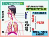 4.3.1 呼吸道对空气的处理 课件 2025学年人教版生物七年级下册
