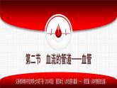 4.4.2 血流的管道——血管（單元任務(wù)驅(qū)動(dòng)課件） 2025學(xué)年七年級(jí)生物下冊(cè)人教版