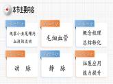 4.4.2 血流的管道——血管（單元任務(wù)驅(qū)動(dòng)課件） 2025學(xué)年七年級(jí)生物下冊(cè)人教版