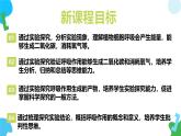 4.11.2 植物的呼吸作用 2025學年七年級生物下冊 蘇教版2024 課件