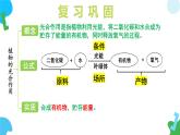4.11.2 植物的呼吸作用 2025學年七年級生物下冊 蘇教版2024 課件