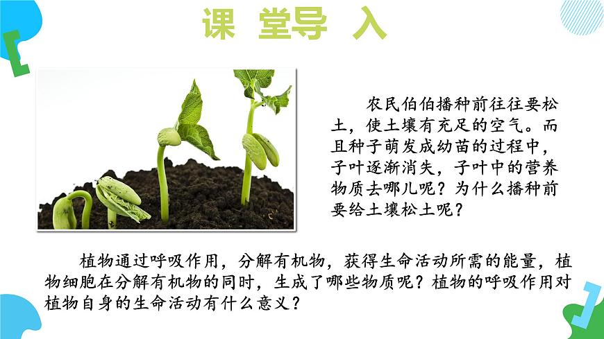 4.11.2 植物的呼吸作用 2025学年七年级生物下册 苏教版2024 课件第6页