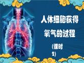 4.8.2 人體細(xì)胞獲得氧氣的過(guò)程（課時(shí)2）課件